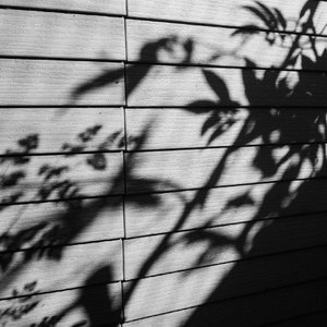 日本XXXⅩ熟妇ⅩXXⅩ
